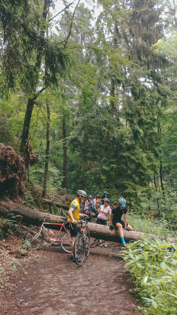 Fahrradrennen sind anstrengend - aber nicht nur für die Starter*innen! Die DSD-Ultras haben sich für RuK 2018 wieder auf den Weg gemacht, um alle Bergziegen in Sand ordentlich anzufeuern